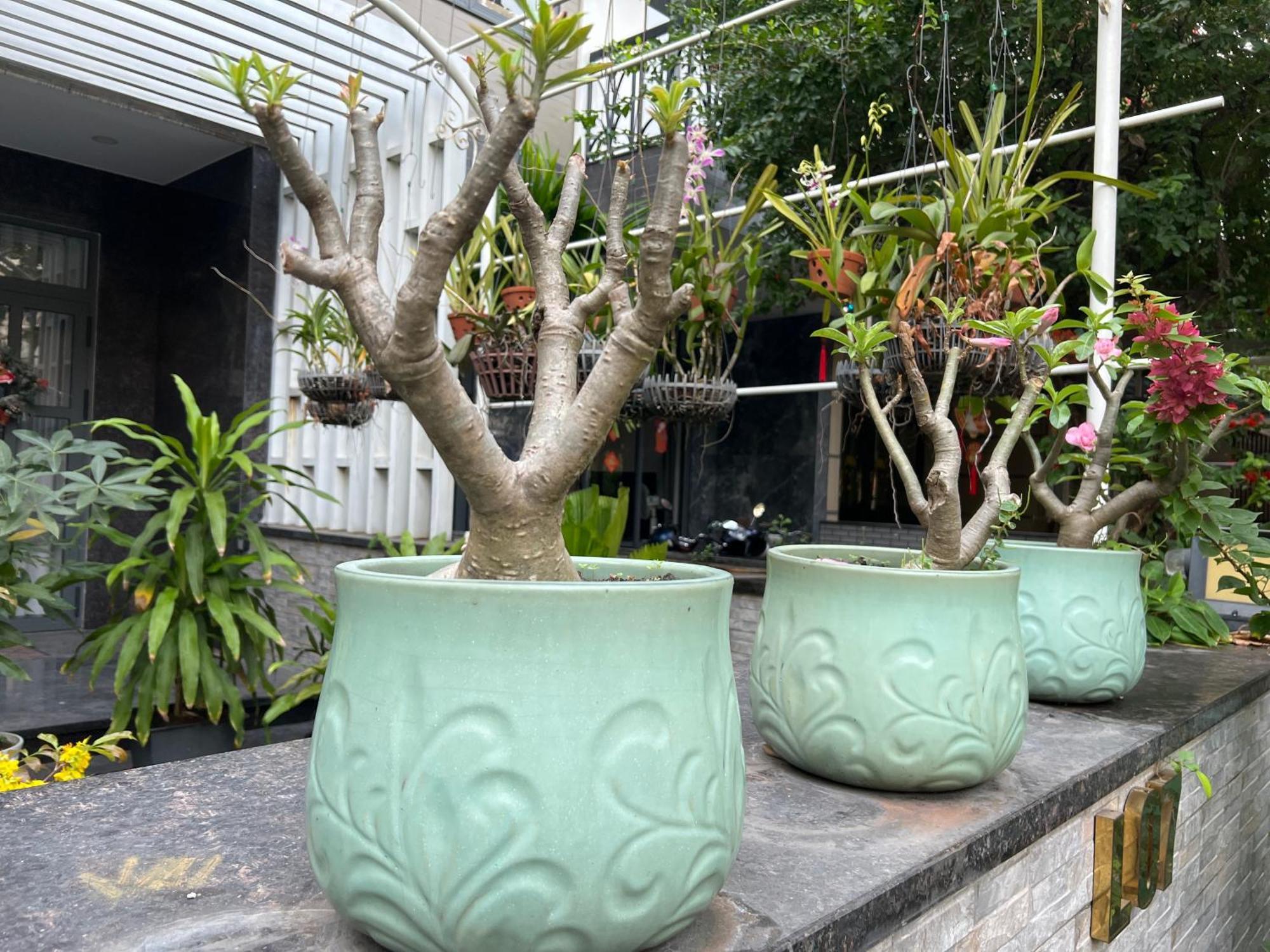 Home Resort With Full Amenities Hô Chi Minh-Ville Extérieur photo